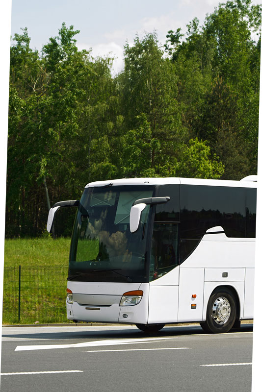 Voyage organisé en autocar à Brignoles